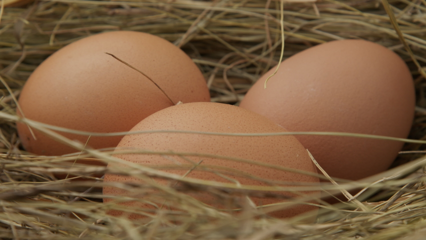 Organic fresh eggs on straw. Nest with chicken eggs on a farm at sunny morning. Farmer's hand picks up eggs for breakfast. A farmer collects fresh chicken eggs in a chicken coop on a farm.  Royalty-Free Stock Footage #1070325067