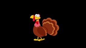 Cute Turkey Cartoon Character Walking Loop. 4K Animation Video Motion Graphics Without Background 