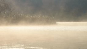 Foggy lake at beautiful morning  rising light on bulrush and passing birds. Landscape of misty lake at sunrise. - Powered by Shutterstock - Get 15% off with code: PIKWIZARD15
