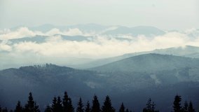 Hyperloop video. Majestic Carpathian Mountains. Beautiful landscape of untouched nature.