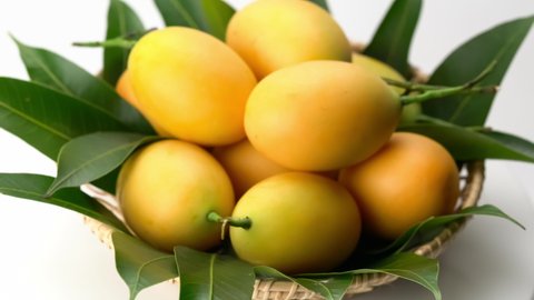 Ripe sweet yellow Marian Plum with leaves in bamboo basket are turning on white background. Popular sweet fruit in Thailand in summer season marian plum with leaves in bamboo basket turning on white.