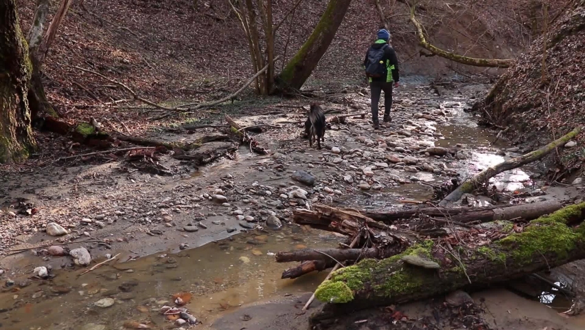 A man and a dog walk through the forest by a stream in early spring