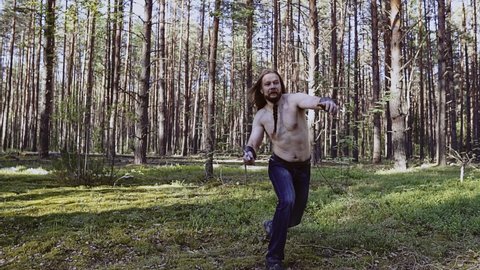 Naked woods Stock Video Footage - 4K and HD Video Clips | Shutterstock