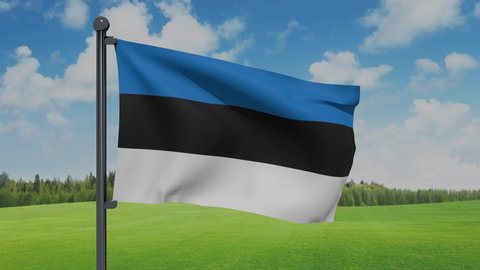 emne Indtil Ass Estonia Flag Nature Stock Video Footage - 4K and HD Video Clips |  Shutterstock