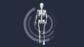 Animation of scope scanning with human skeleton on grey background. global medicine, data processing and technology concept digitally generated video. - Powered by Shutterstock - Get 15% off with code: PIKWIZARD15
