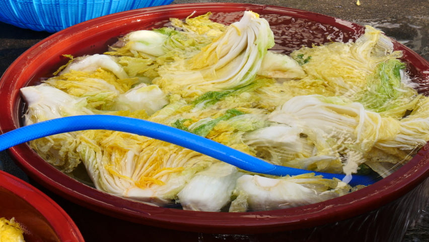 Washing cabbage to make kimchi
