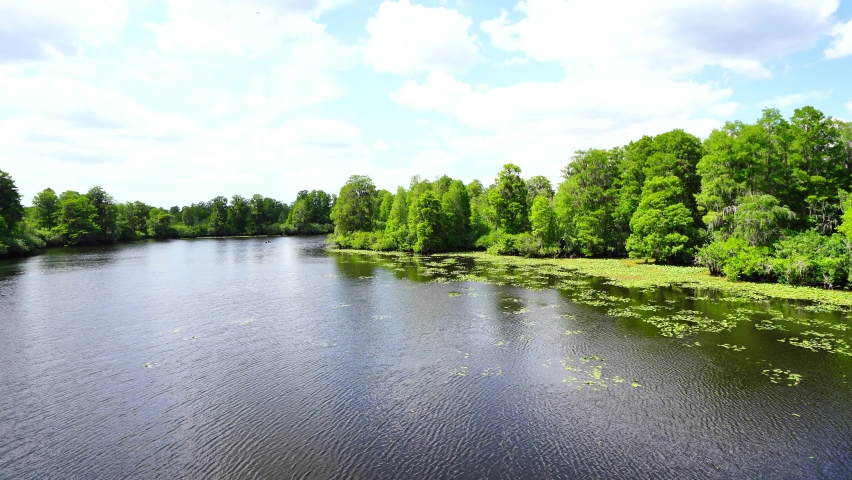 The landscape of Hillsborough river and Lettuce park at Tampa, Florida	