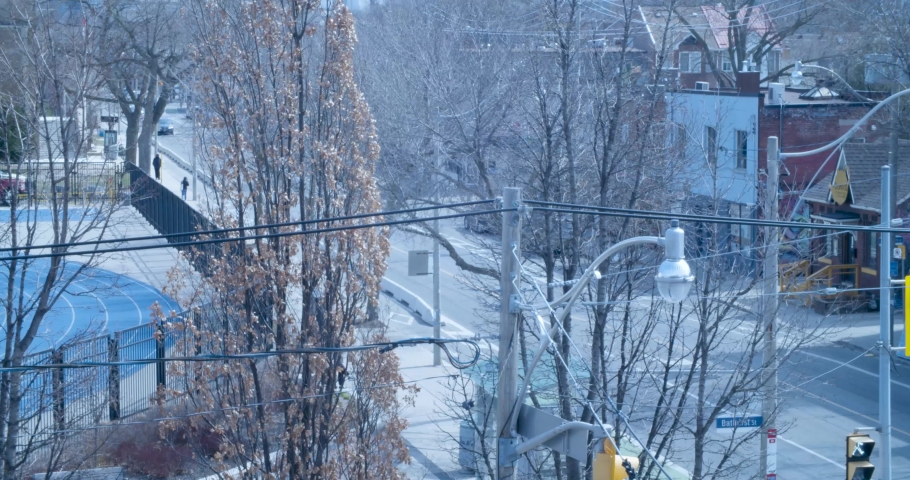 Cars driving along Harbord St in Toronto Ontario with trees and pedestrians 