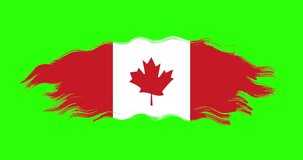 Canada national brush stroke flag waving on green screen background. Canada flag 4K seamless wave loop on green screen background