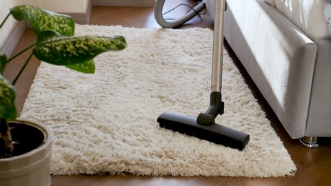 Vacuum the white fluffy carpet.