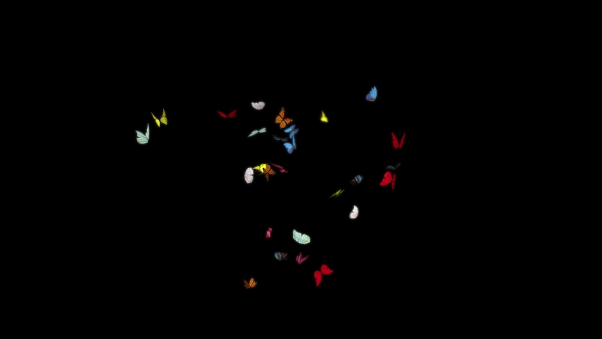Colored Butterfly Flying around in the middle of the screen 
with depth of field blur