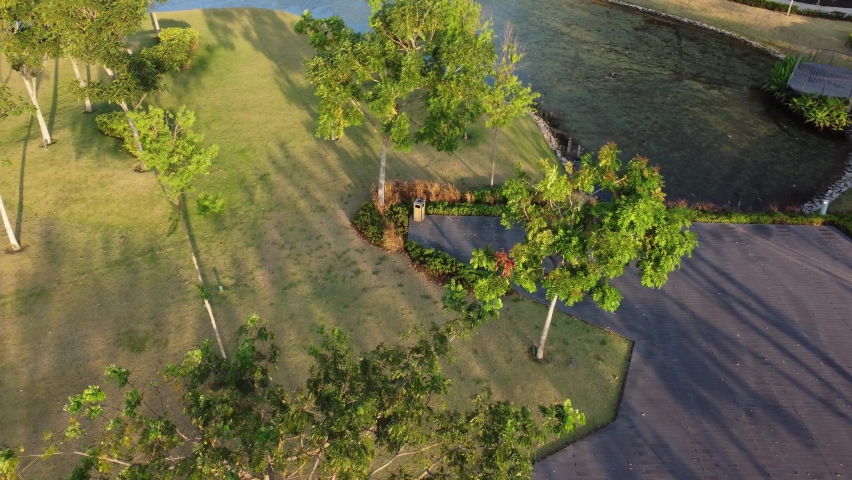 Green trees in park in sunny day aerial view
