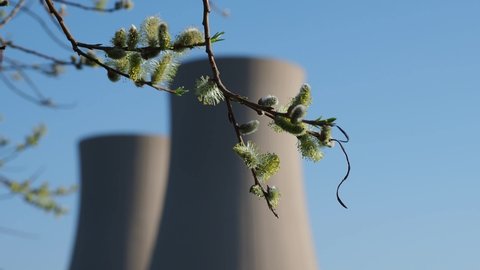 Willow catkins branch against nuclear power plant