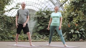 Senior couple practicing yoga while sitting on yoga mat. Side view footage of senior couple practicing yoga in city park. Close up footage of senior couple in park practicing yoga. Healthy lifestyle. - Powered by Shutterstock - Get 15% off with code: PIKWIZARD15