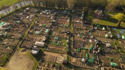 Aerial View on Beautiful UK Allotment Community.