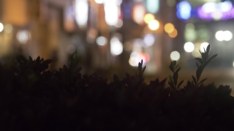 Handheld Shot of People Walking Across Crosswalk at Night