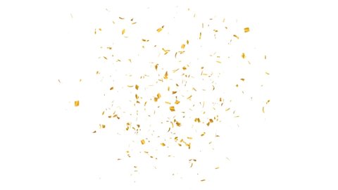 Gold Confetti Explosions Pack on a White Background with Luma Matte Channel.