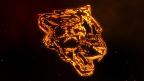 video of head panther with fire