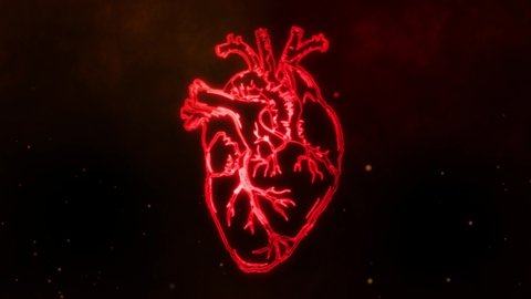 video of human heart with flames animation
