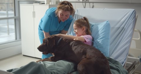 Nurse with cute brown labrador visiting sick little girl in hospital ward. Smiling kid patient lying in hospital bed and playing with dog in pediatrics clinic