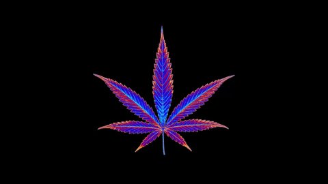 Stylized iridescent colorful cannabis leaf in 3D rotating. Isolated on black. NFT concept