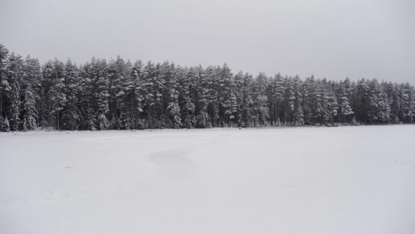 Snow Falls in Slow Motion, Cinematic View, Forest Background with Snowy Field | Shutterstock HD Video #1070601361