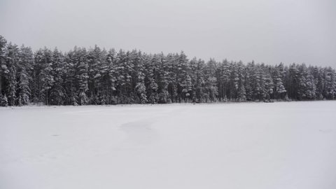 Snow Falls in Slow Motion, Cinematic View, Forest Background with Snowy Field