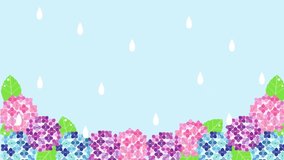 Video of rain falling on hydrangea flowers