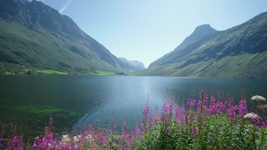 Beautiful Mountain Lake with flowers in the forground on a sunny day, panorama view of scenic norwegian ladscape