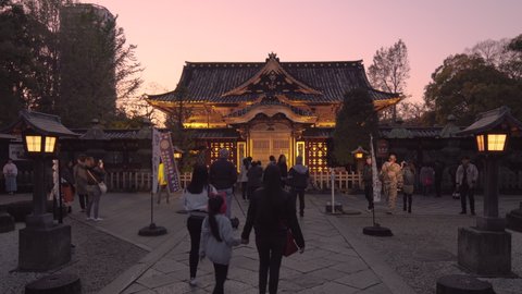 tokyo, japan - november 10 2019: Video of wooden lanterns lighting along the path leading to the gold foils covered Ueno Tōshō-gū shrine classed as Important cultural property at sunset.