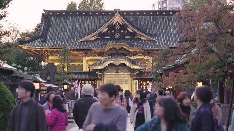 tokyo, japan - november 10 2019: Video close up on the gold foils covered Ueno Tosho-gu shrine classed as Important cultural property.