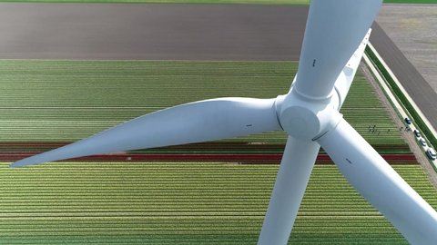 Aerial close up view of wind turbine is a device that converts the wind's kinetic energy into electrical providing homes with sustainable renewable electricity located at colorful tulip field 4k