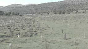 D-Log Mavic 2 Pro aerial footage of Sad Hill Cemetery in Burgos Province, Spain