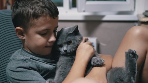 Happy Child Kisses, Hugs Young British Home Grey Cat. Love to Home Animals. Portrait of a cute teenage child who hugs a gray fluffy cat with tenderness and love and smiles with happiness. 180fps.