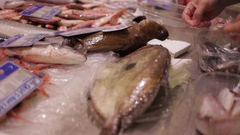 fresh fish display in the fishmonger