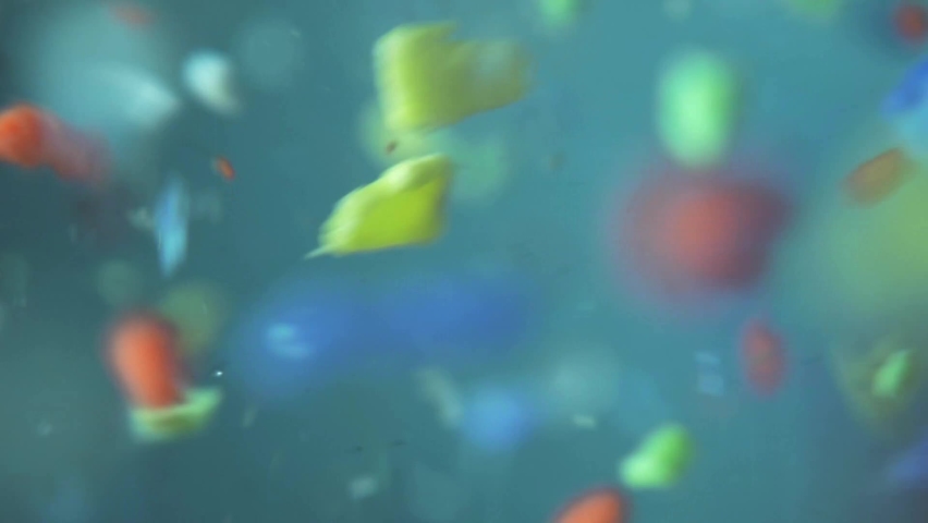 microplastics in water. plastic fragments or particles in ocean. ocean pollution by single-use plastics. environment, ecology, water, earth, slow motion Royalty-Free Stock Footage #1070647903