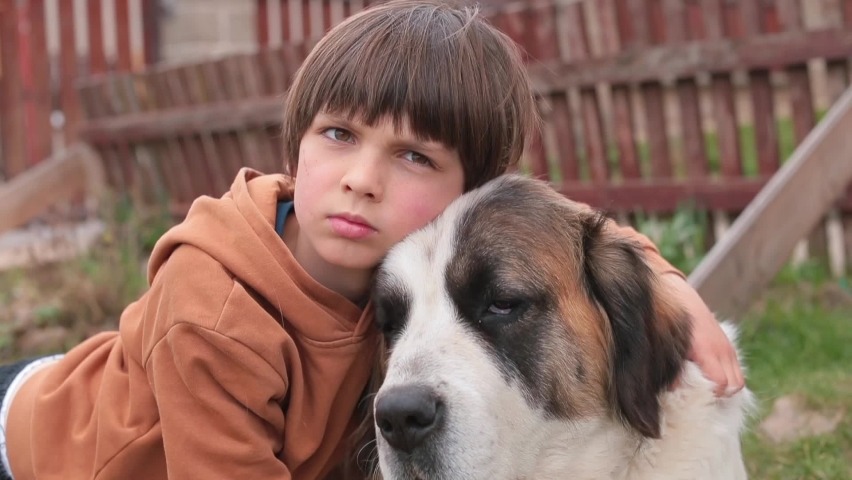 Portrait of a boy with a dog. Best friends. Sad look person animal during forced parting. Very large breed is Moscow Watchdog. Healthy children lifestyle. Portrait People and animals emotional bond.   Royalty-Free Stock Footage #1070658094