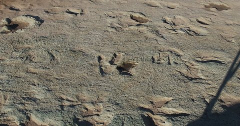 Fossilized Ancient Dinosaur Tracks Footprints in Rock Zoom in Track Foot Print