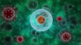 3d animation of many cells, microorganisms. The virus enters the cell and multiplies. The cell dies. Animation for medical and scientific compositions, banners. - Powered by Shutterstock - Get 15% off with code: PIKWIZARD15