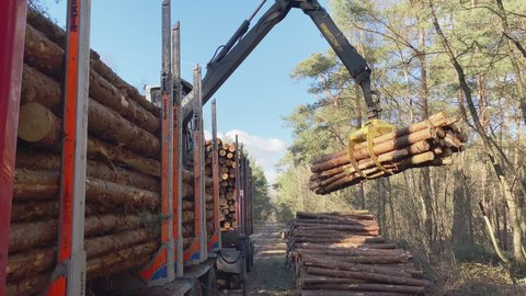 Ermelo, Gelderland, NLD - MRT 05 2021: Crane on a truck picks up just cut logs in the forest and put them o   na log trailer. Following the crane.