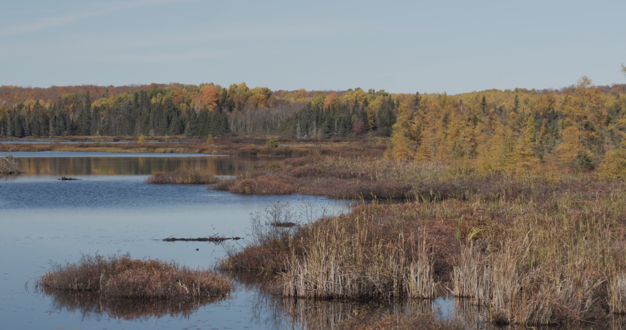 Beautiful Lake in Wisconsin in Fall Autumn Trees in Forest Changing Colors