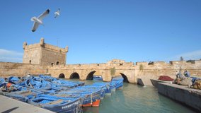 Local fishermen prepare their boats for departure in Essaouira, Morocco. Harbour, port, boats, fisherman, working, water, fishing. 4K Video Footage