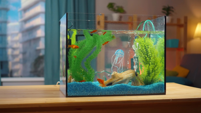 Aquarium on the table in the living room close up | Shutterstock HD Video #1070707336