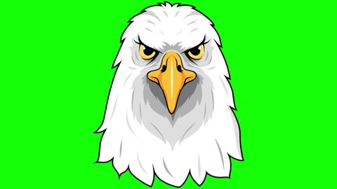 Animation of eagle hade with green screen animation full HD 