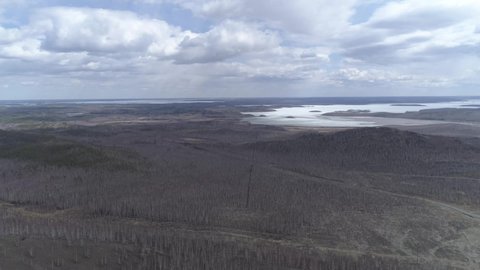 Gloomy forest and lake near the city of Karabash. Chelyabinsk region, Russia. Aerial, spring, cloudy
