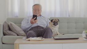 Happiness elderly asian man sitting on sofa and using mobile phone and smile with dog pug breed at cozy home,Portrait of wellness senior man enjoying retirement at home concept