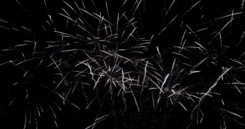 Spider effect white fireworks multiple explosions in real time