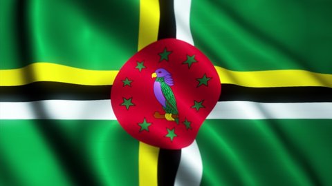 Video of the flag flying from the country of Dominica with a widescreen ratio (16:9). 4K UHD Animation