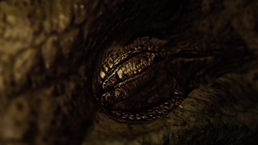 Close up of a dragon's eye opening and looking around - as dragons do | Shutterstock HD Video #1070765365