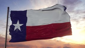 Texas and USA flag on flagpole. USA and Texas Mixed Flag waving in wind